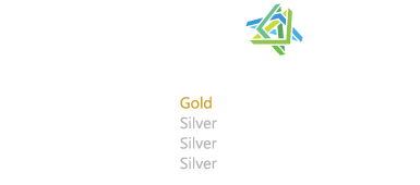 Microsoft partner